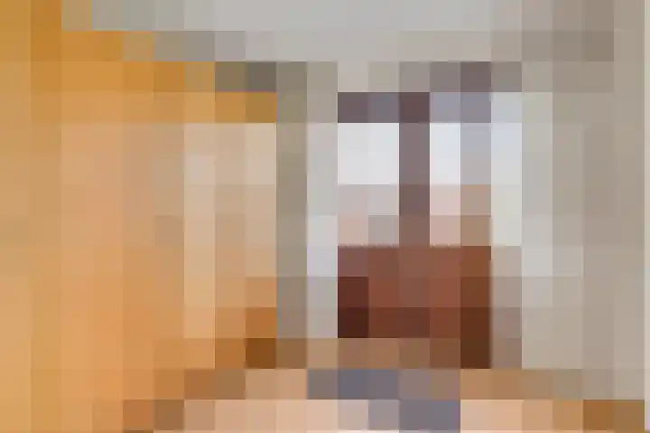 Hanssum 25 Neer thumbnail 16