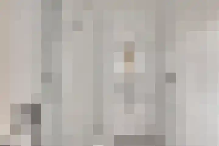 Hanssum 25 Neer thumbnail 22