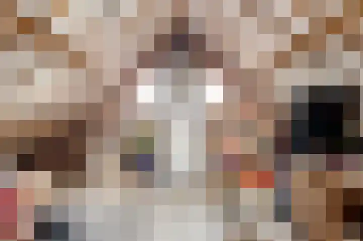 Hanssum 25 Neer thumbnail 23