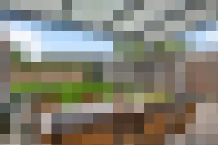 Hanssum 25 Neer thumbnail 24