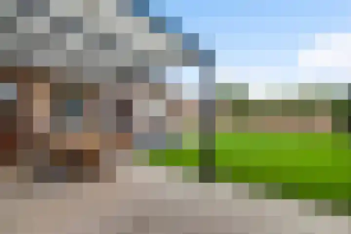 Hanssum 25 Neer thumbnail 25
