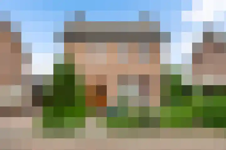 Hanssum 25 Neer thumbnail 31