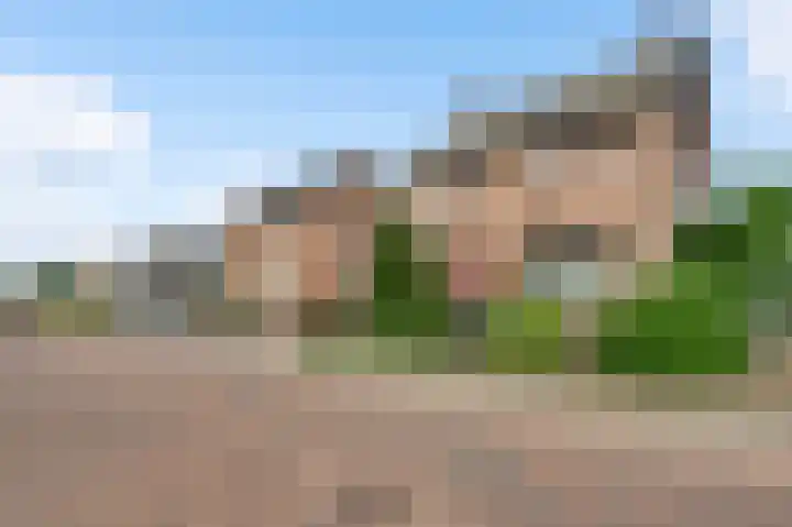Hanssum 25 Neer thumbnail 33