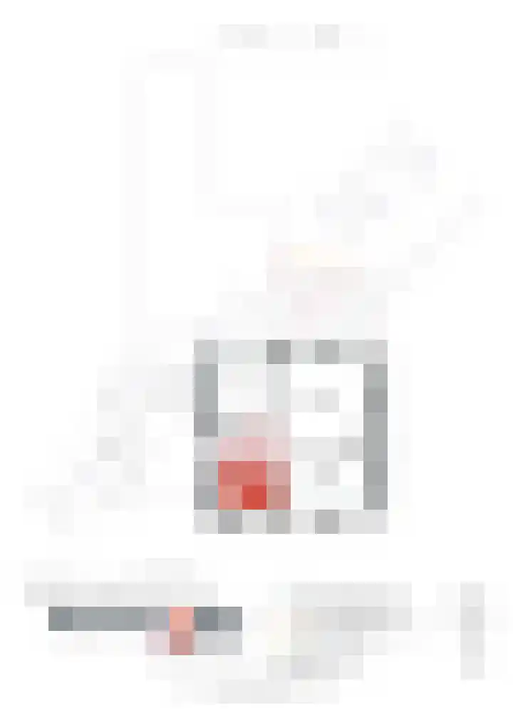 Hanssum 25 Neer thumbnail 35
