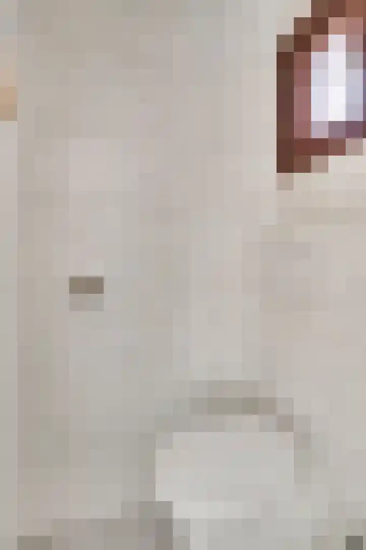 Hanssum 25 Neer thumbnail 7