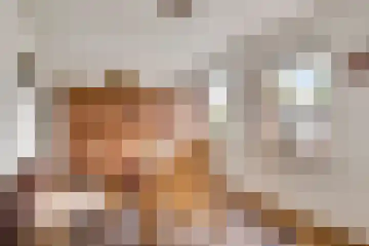 Hanssum 25 Neer thumbnail 8