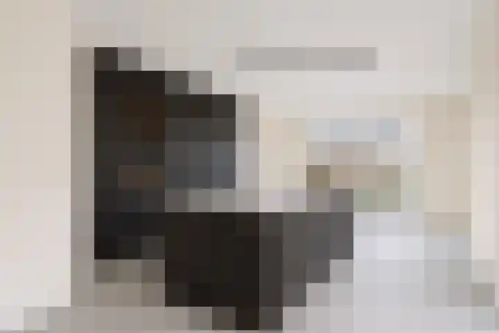 Hanzekade 58 Dronten thumbnail 15