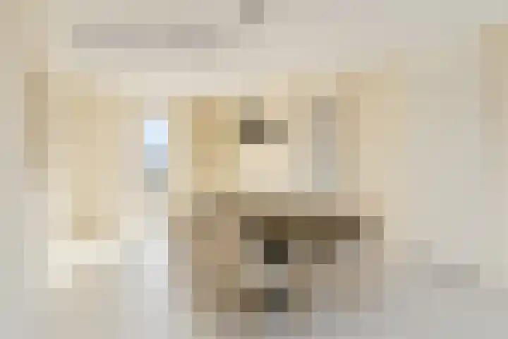 Hanzekade 58 Dronten thumbnail 18