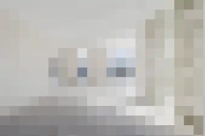 Hanzekade 58 Dronten thumbnail 21