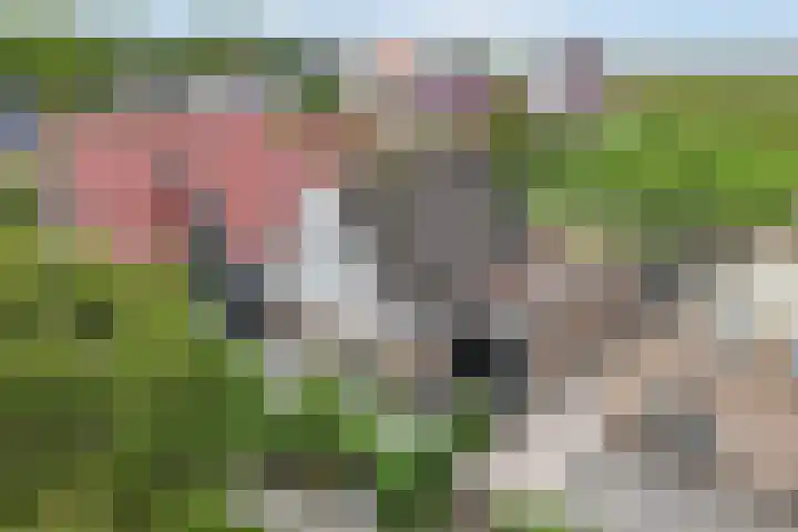 Hanzestraat 10 Hindeloopen thumbnail 12
