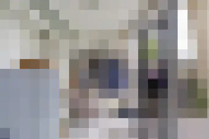 Hanzestraat 10 Hindeloopen thumbnail 15