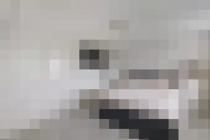 Hanzestraat 10 Hindeloopen thumbnail 52