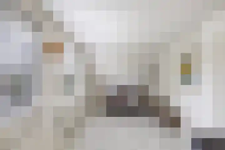 Hanzestraat 10 Hindeloopen thumbnail 54