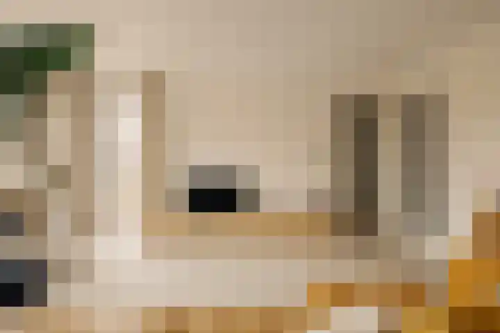 Haparandadam 2 A 2 Amsterdam thumbnail 10