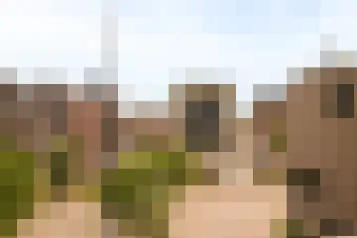 Haparandadam 2 A 2 Amsterdam thumbnail 30