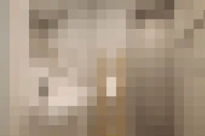 Haparandadam 2 A 2 Amsterdam thumbnail 32
