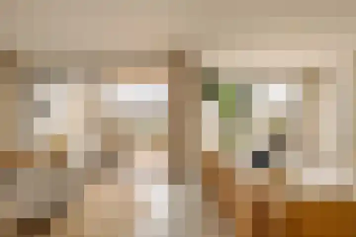 Haparandadam 2 A 2 Amsterdam thumbnail 49