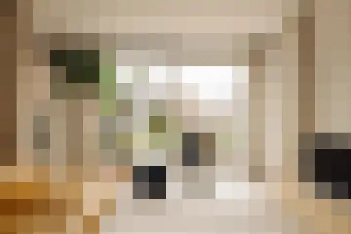 Haparandadam 2 A 2 Amsterdam thumbnail 9
