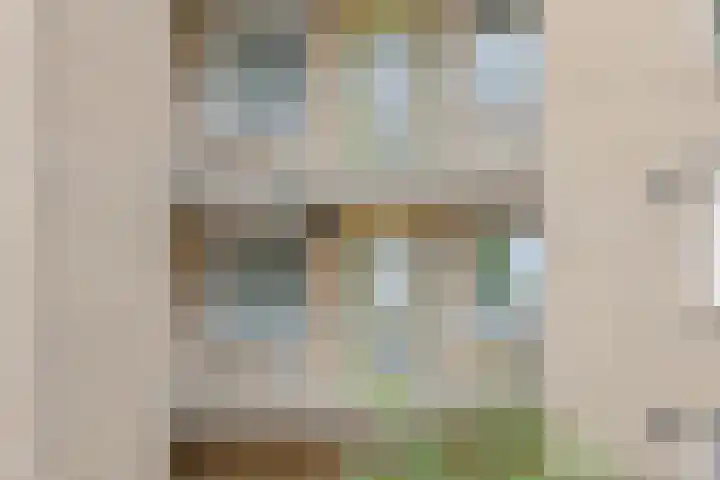 Team foto van HappyHome Makelaars Land van Cuijk