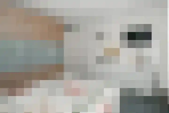 Hardenbrink 14 Epe thumbnail 22