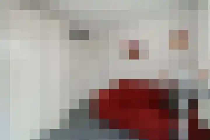 Hardenbrink 14 Epe thumbnail 24