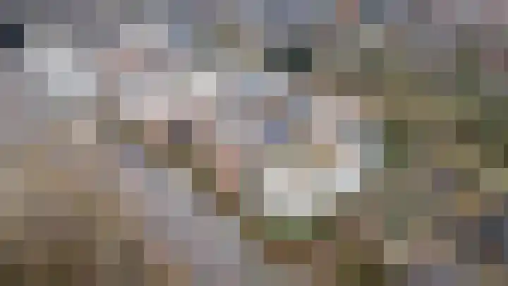 Hardenbrink 14 Epe thumbnail 30