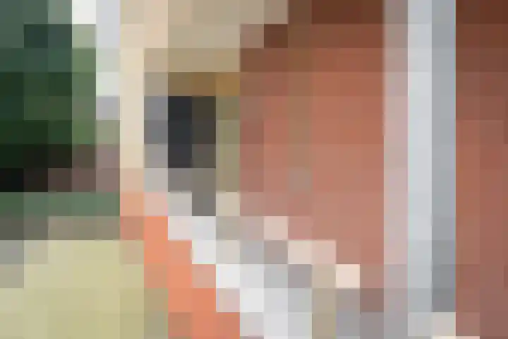 Hardenbrink 14 Epe thumbnail 6