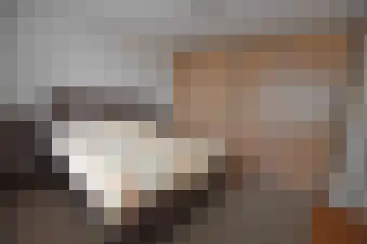 Hardenbrink 63 Epe thumbnail 14