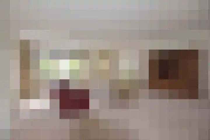 Hardenbrink 63 Epe thumbnail 4