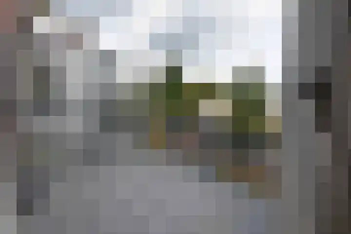 Hardenbrink 63 Epe thumbnail 7