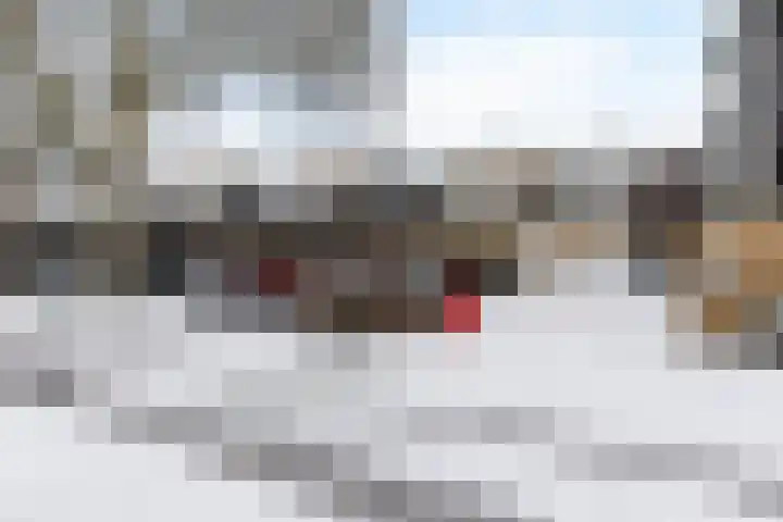 Hardenbrink 65 Epe thumbnail 32