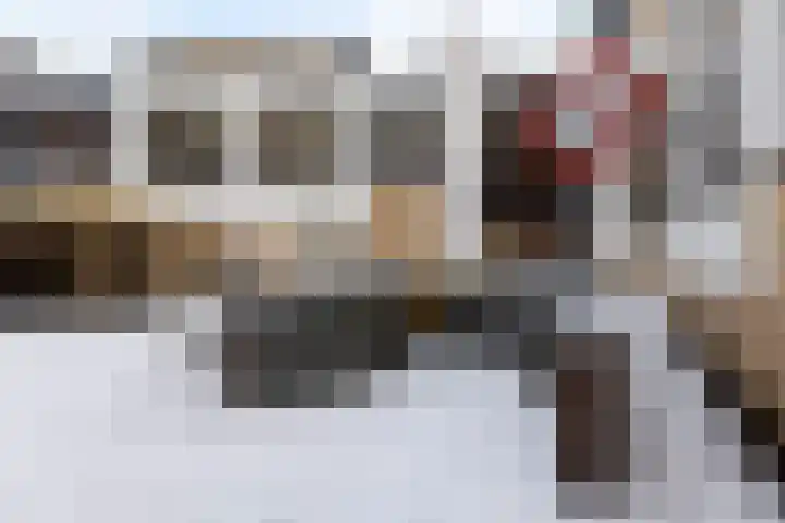 Hardenbrink 65 Epe thumbnail 33
