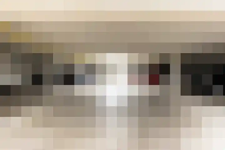Hardenbrink 65 Epe thumbnail 34