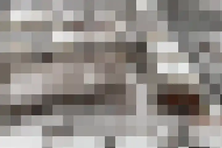 Hardenbrink 65 Epe thumbnail 36