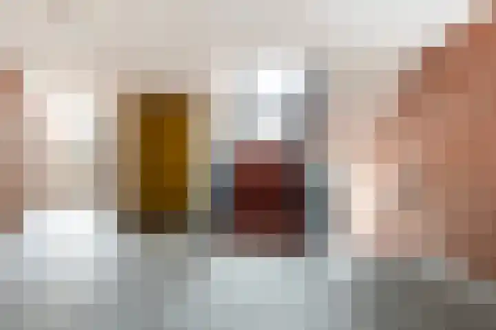 Hardenbrink 65 Epe thumbnail 8