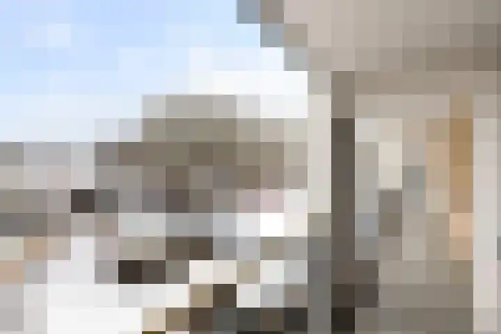 Hardenbrink 65 Epe thumbnail 9