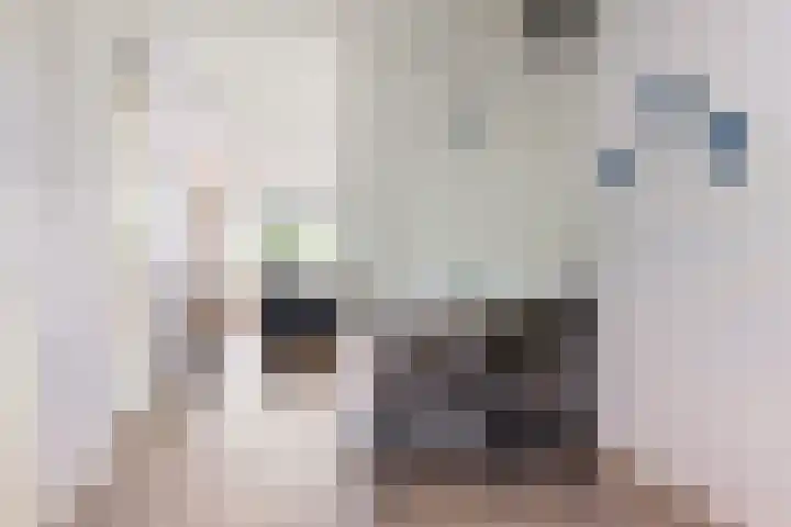 Hardenbrink 77 Epe thumbnail 11
