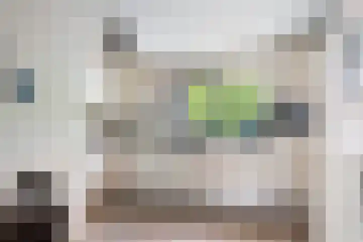 Hardenbrink 77 Epe thumbnail 12
