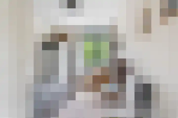 Hardenbrink 77 Epe thumbnail 19