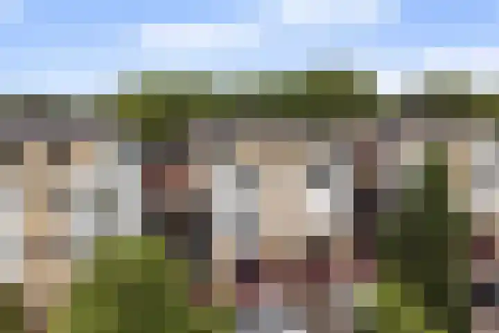 Hardenbrink 77 Epe thumbnail 28