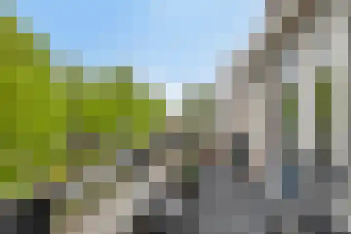 Harderwijkoever 28 Almere thumbnail 17