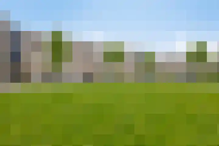 Harderwijkoever 28 Almere thumbnail 30