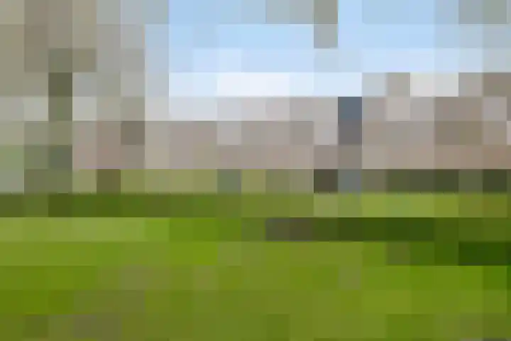 Harderwijkoever 28 Almere thumbnail 31