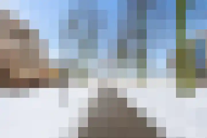 Harderwijkoever 29 Almere thumbnail 30