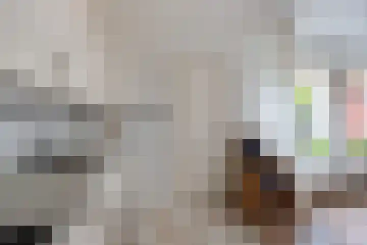 Hardewijk 8 Noordwolde thumbnail 22