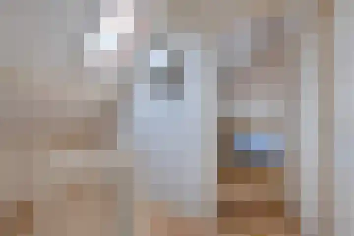 Hardewijk 8 Noordwolde thumbnail 36