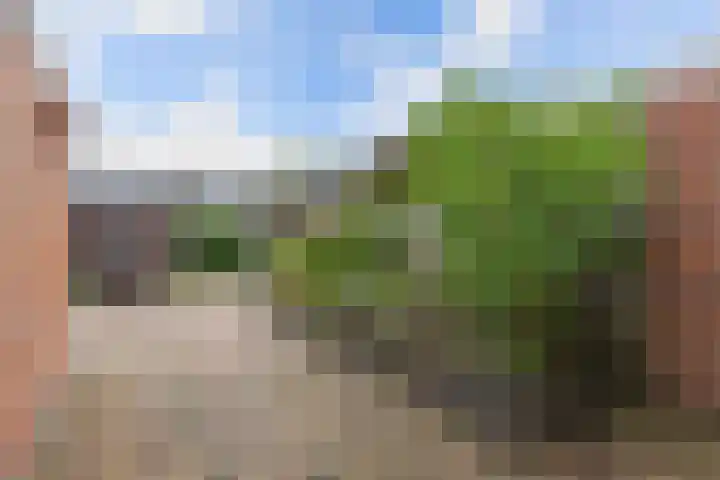 Hardewijk 8 Noordwolde thumbnail 43