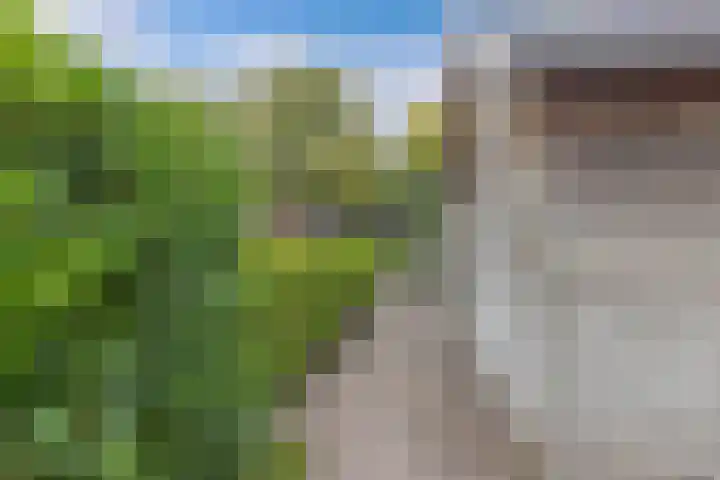 Hardewijk 8 Noordwolde thumbnail 55