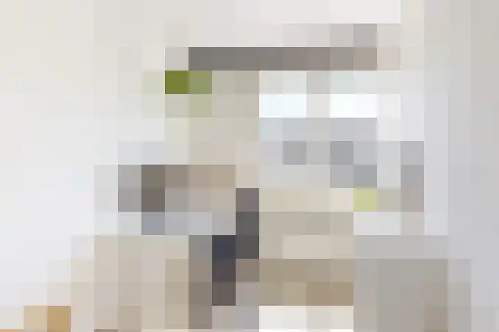 Hardgras 11 Houten thumbnail 16
