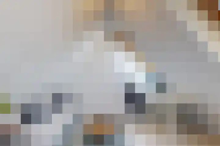Hardgras 11 Houten thumbnail 19